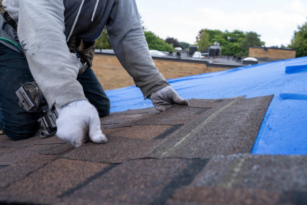 Best Roof Gutter Cleaning  in Legend Lake, WI